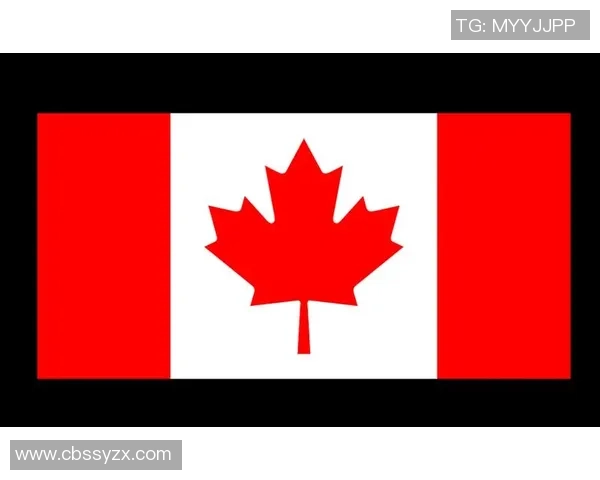 国旗与足球明星的奇妙联想挑战你的足球知识和国旗认知能力