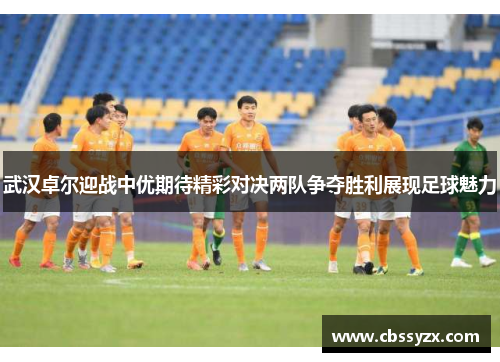 武汉卓尔迎战中优期待精彩对决两队争夺胜利展现足球魅力